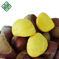 sweet fresh chestnuts with best price